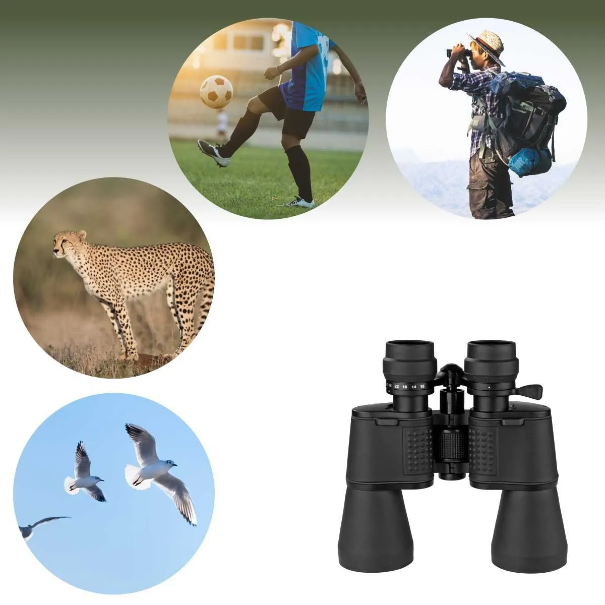 10x50 Compact Black Binocular with a Travel Case
