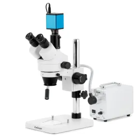 AmScope SM-1 Series Zoom Trinocular Stereo Microscope with 30W LED Single Fiber Optic Gooseneck Light and Auto Focus Camera on Pillar Stand
