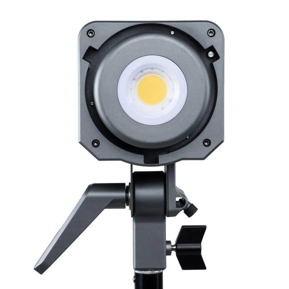 Aputure Amaran 100D Daylight LED Light