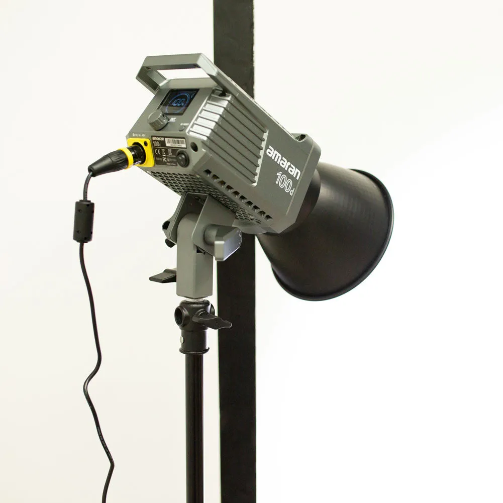 Aputure Amaran 100D Daylight LED Light