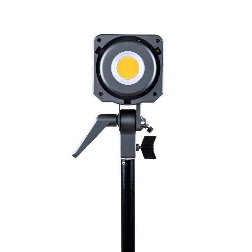 Aputure Amaran 200D Daylight LED Light (DEMO STOCK)