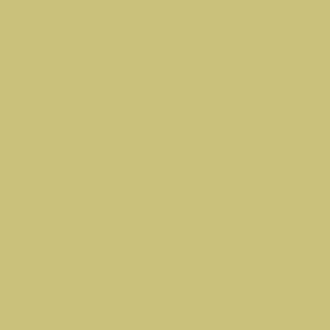 Colorama 1.35 x 11m (53" x 36ft) Fern Seamless Background Paper
