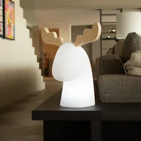 Illuminated reindeer Rudy
