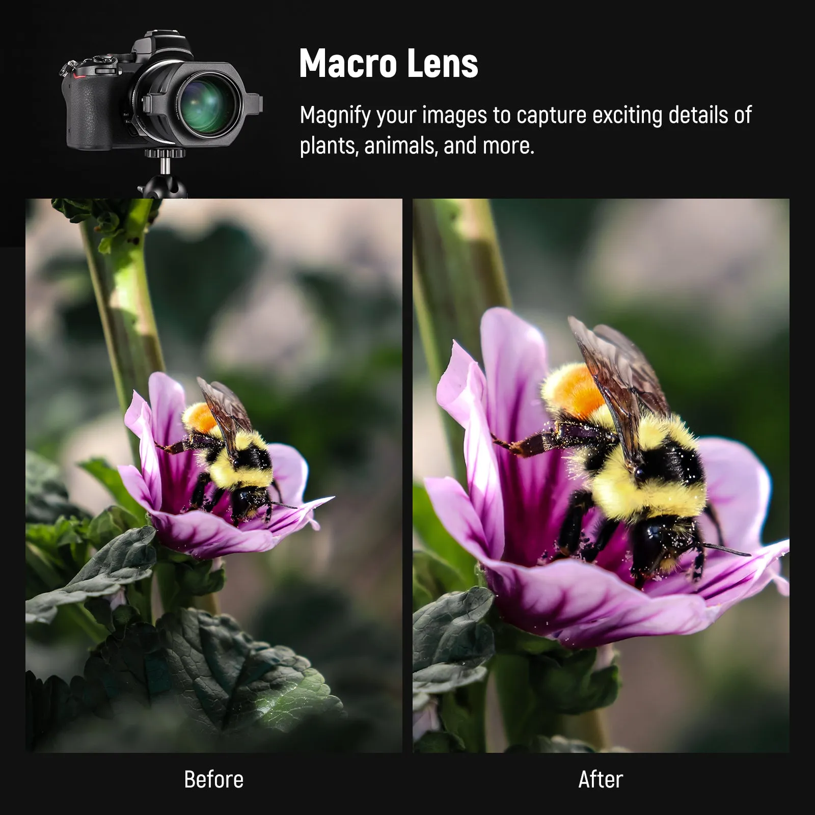 NEEWER LS-40 43mm HD Macro Lens
