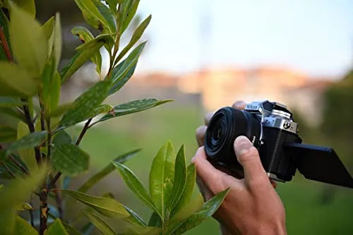 Nikon Z DX 24mm f/1.7 NIKKOR Lens (Nikon Z)