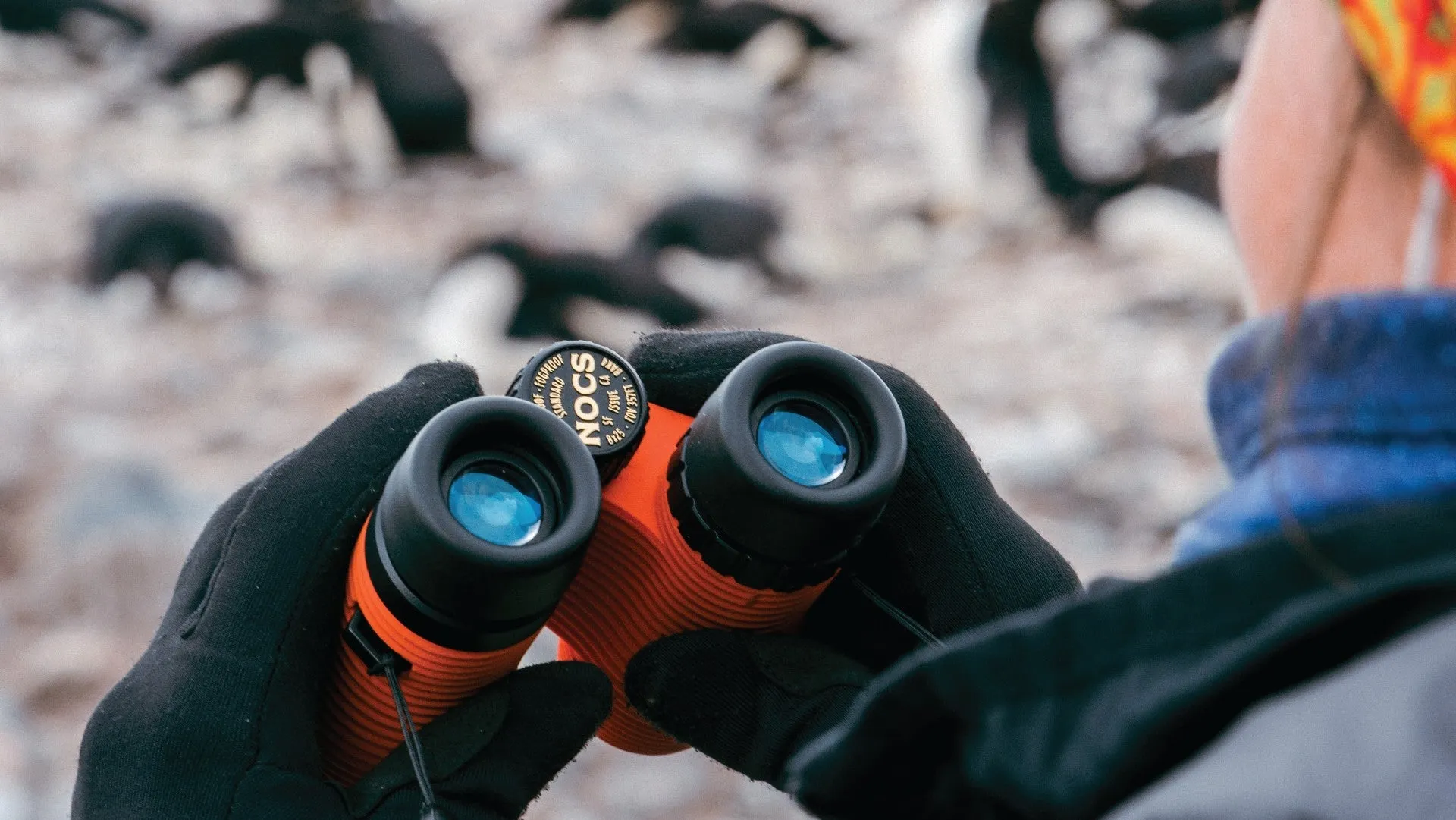 Nocs Standard Issue 8X Waterproof Binoculars - Iris