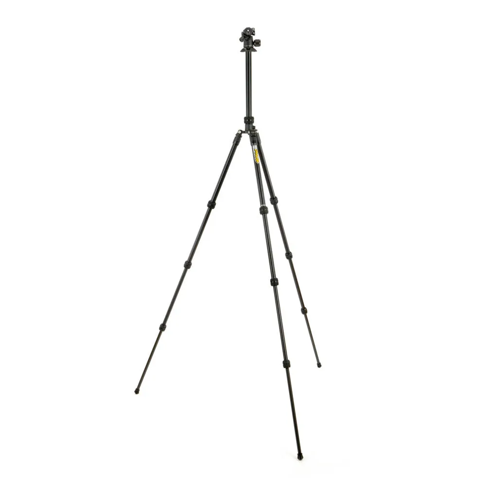 Punks Travis 2.0 Tripod with AirHed Neo 2.0 (SPECIAL ORDER)