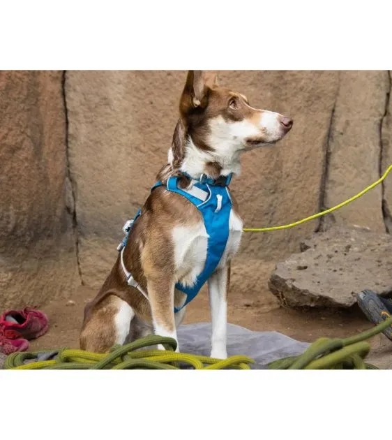 Ruffwear Flagline™ Lightweight & Multi-Use Dog Harness with Handle (Sage Green)