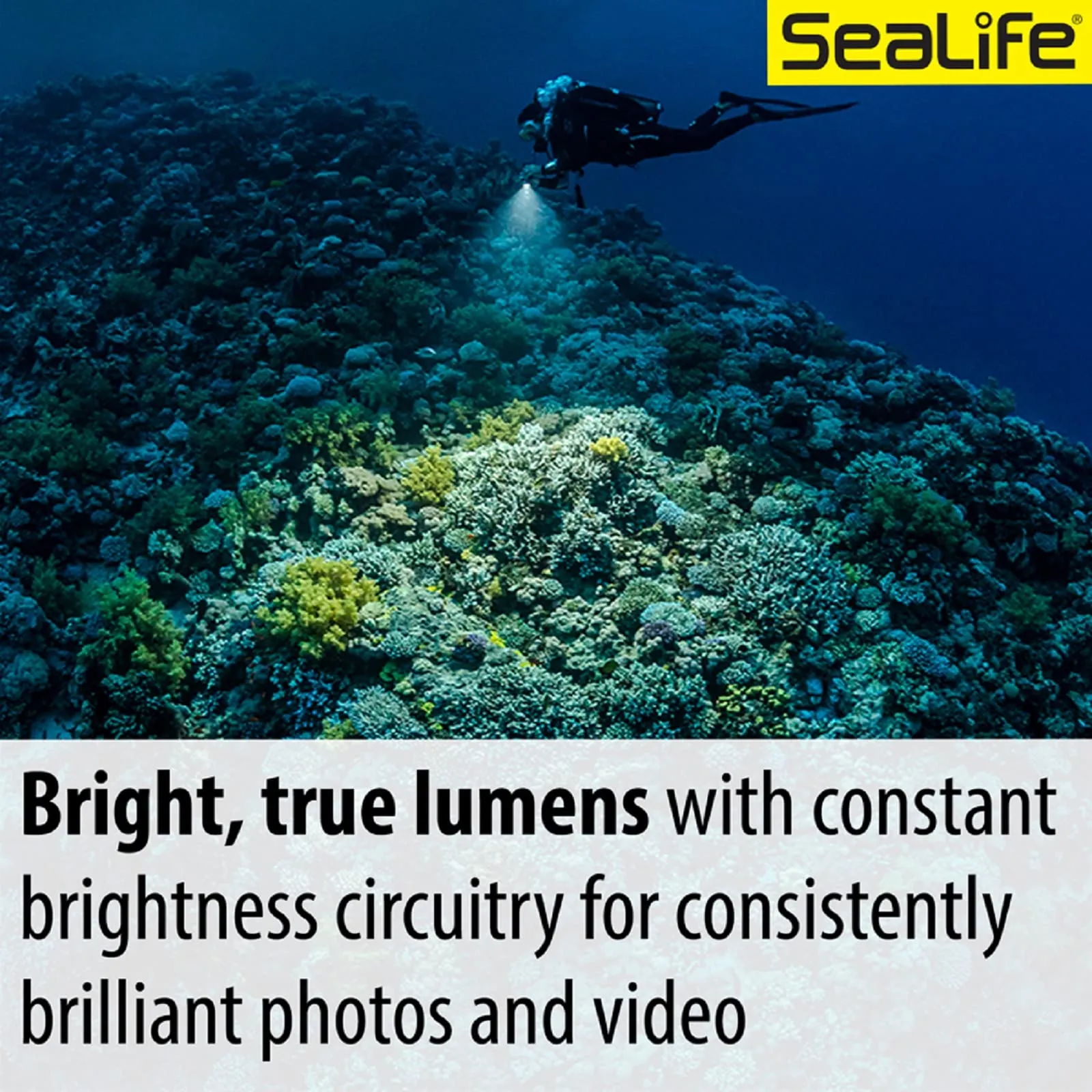 Sealife Sea Dragon 3000SF Pro Dual Beam Compact Underwater Photo-Video Light