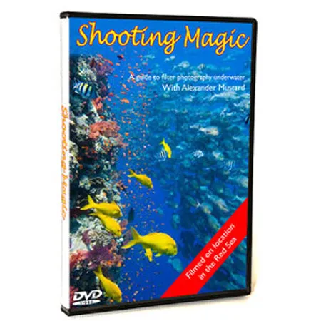 Shooting Magic DVD
