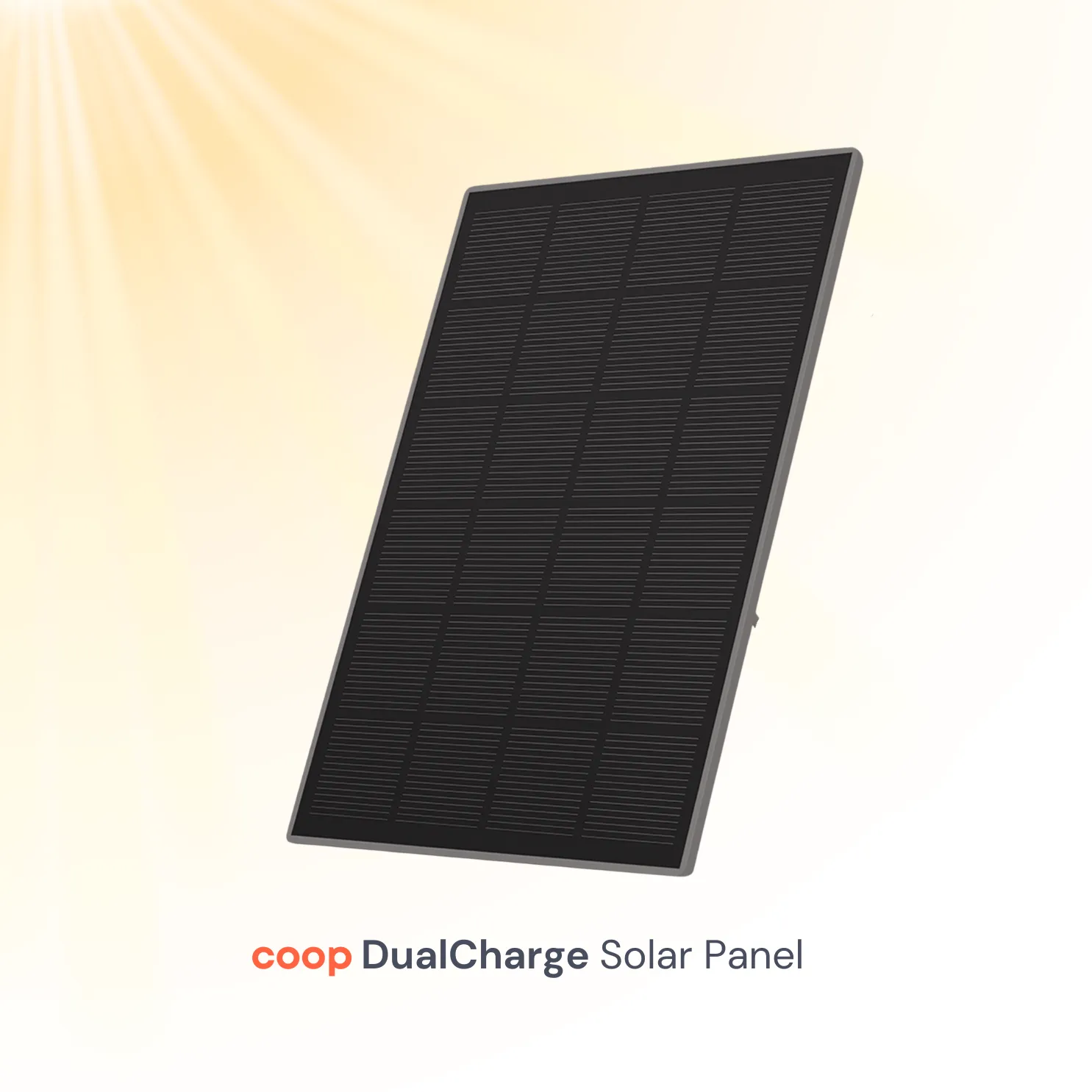 Smart Coop DualCharge Solar Panel