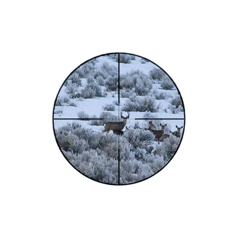 Vixen VI Series 2-8x32 Riflescope (Duplex or BDC Reticle)