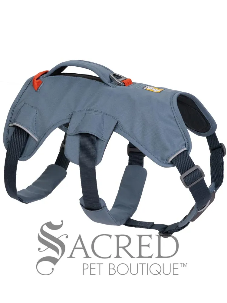 Web Master Harness