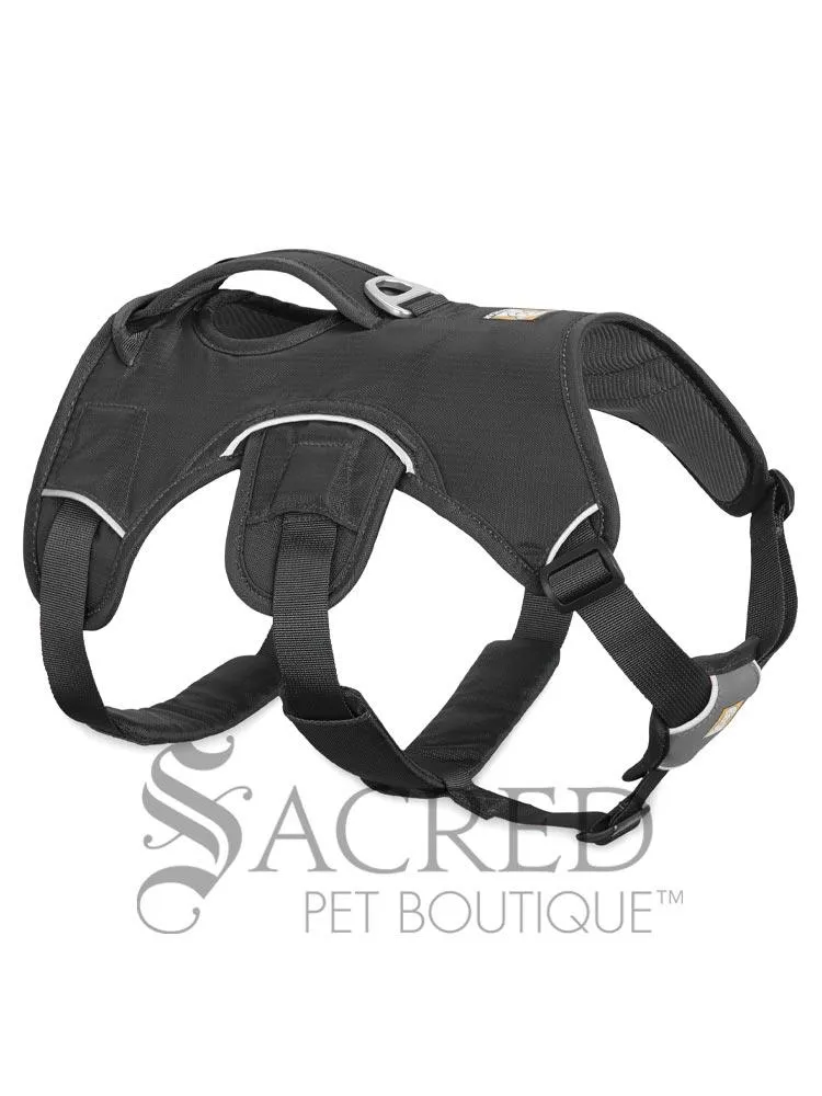Web Master Harness