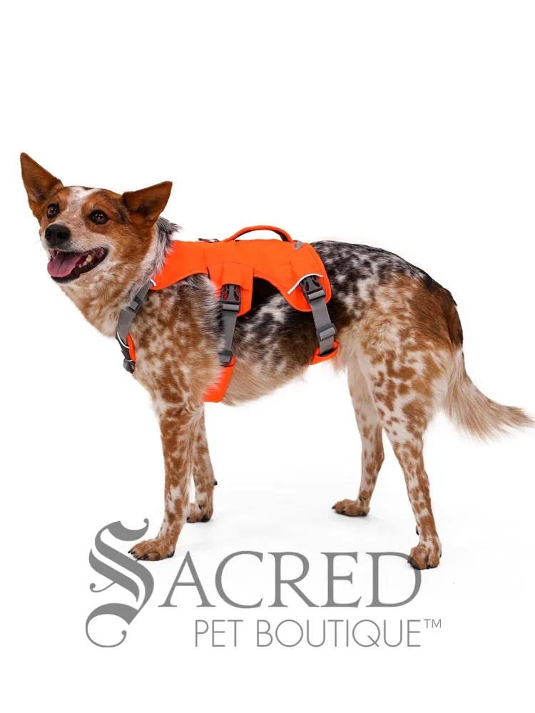 Web Master Harness