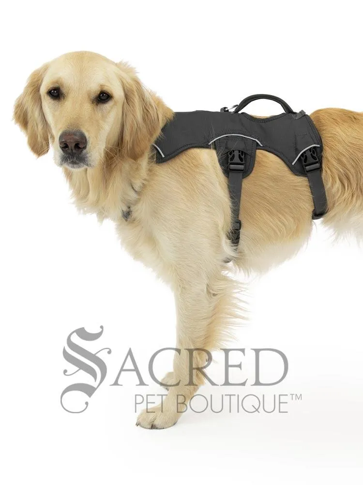 Web Master Harness