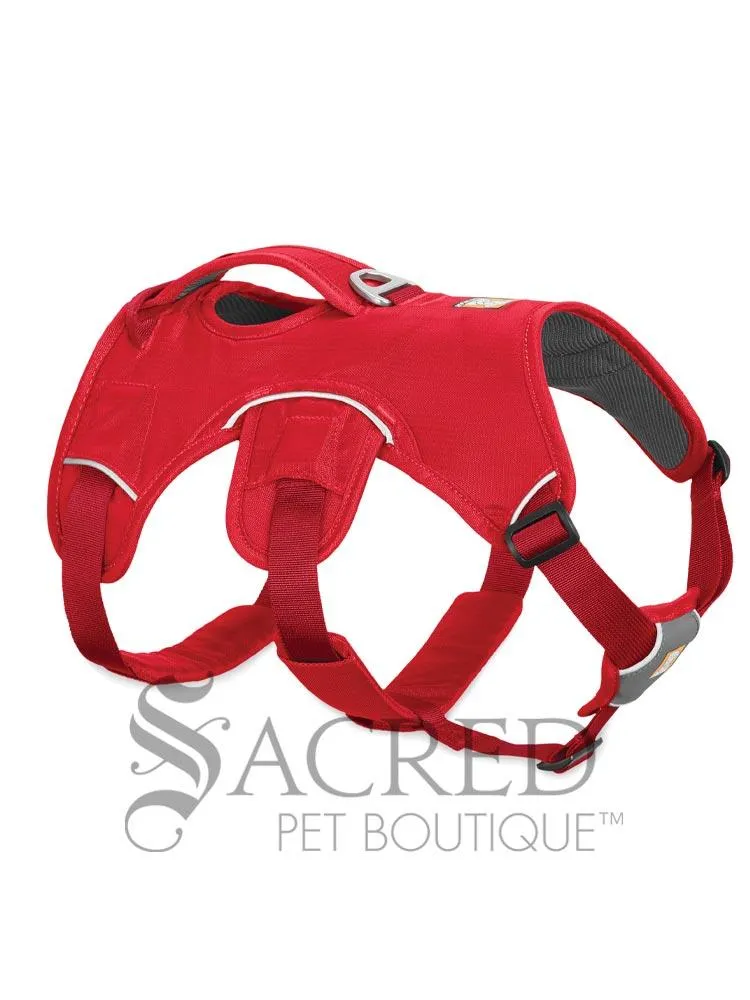 Web Master Harness