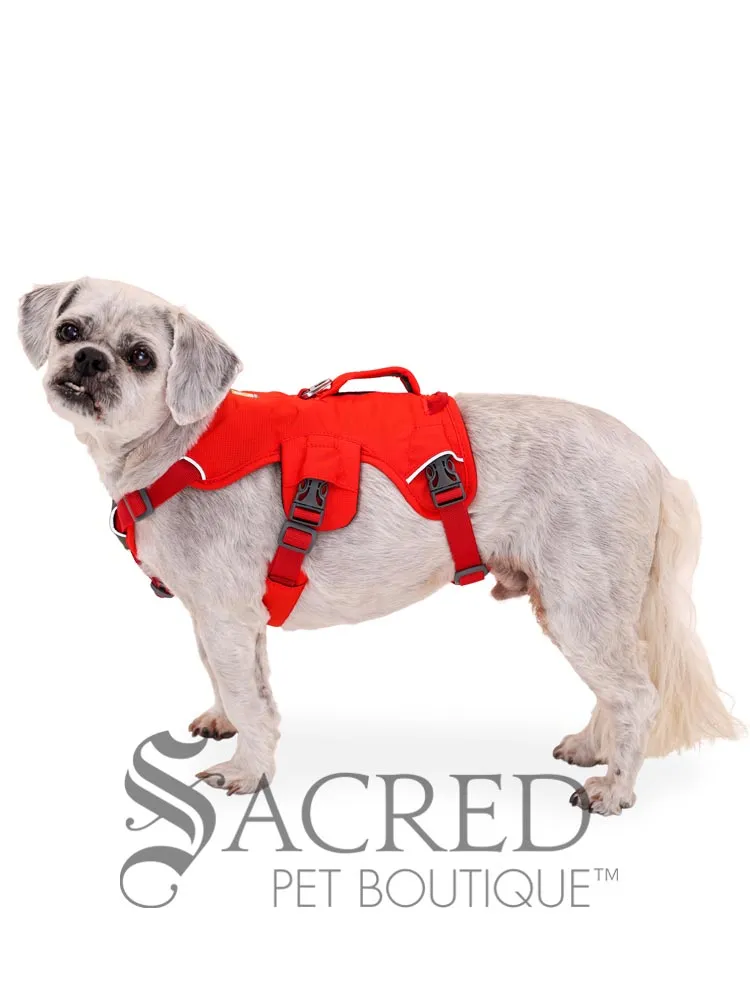 Web Master Harness