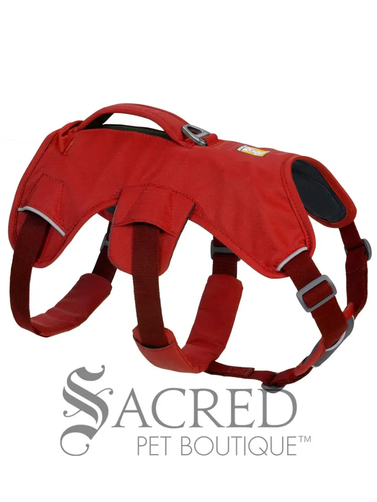 Web Master Harness