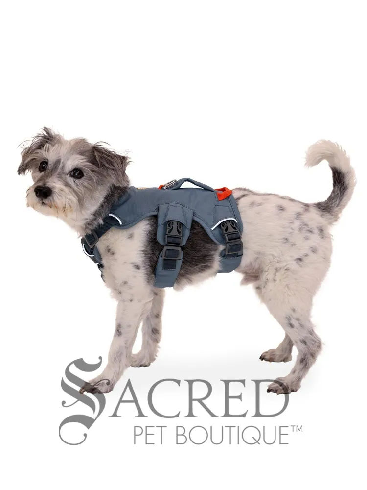 Web Master Harness