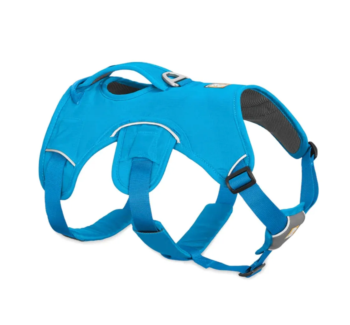 Web Master Harness