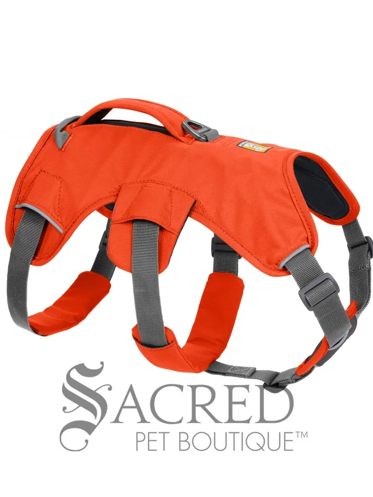 Web Master Harness