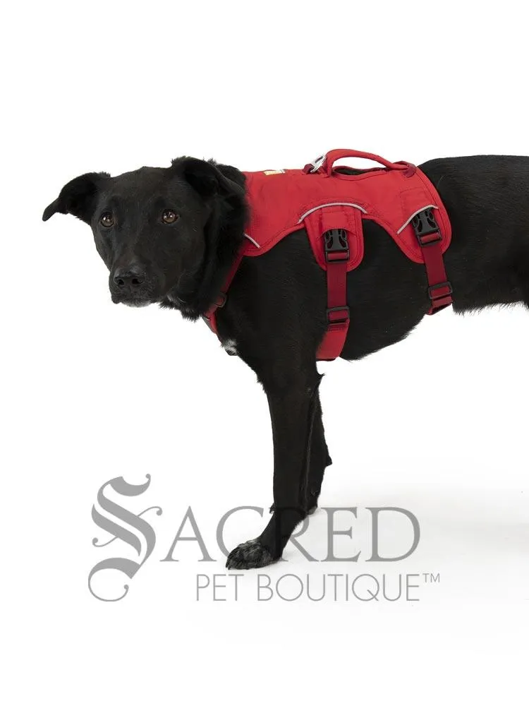 Web Master Harness