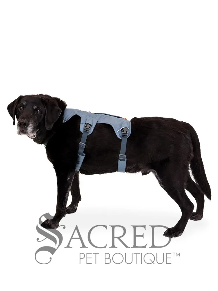 Web Master Harness